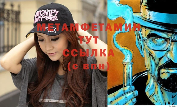 прущие грибы Надым
