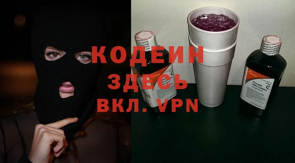 шишки Бородино