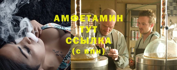 прущие грибы Надым